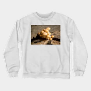 slb wild Crewneck Sweatshirt